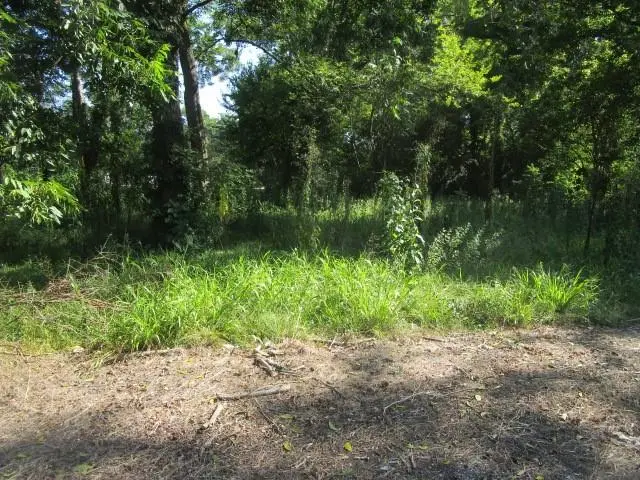 12414 Patricia Avenue, Port Allen, LA 70767 - #2