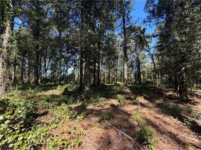 Strawberry Lane, Hammond, LA 70403 - #2