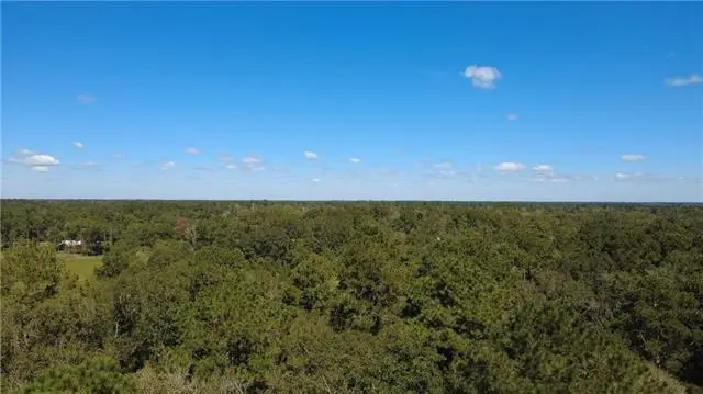 Strawberry Lane, Hammond, LA 70403 - #3