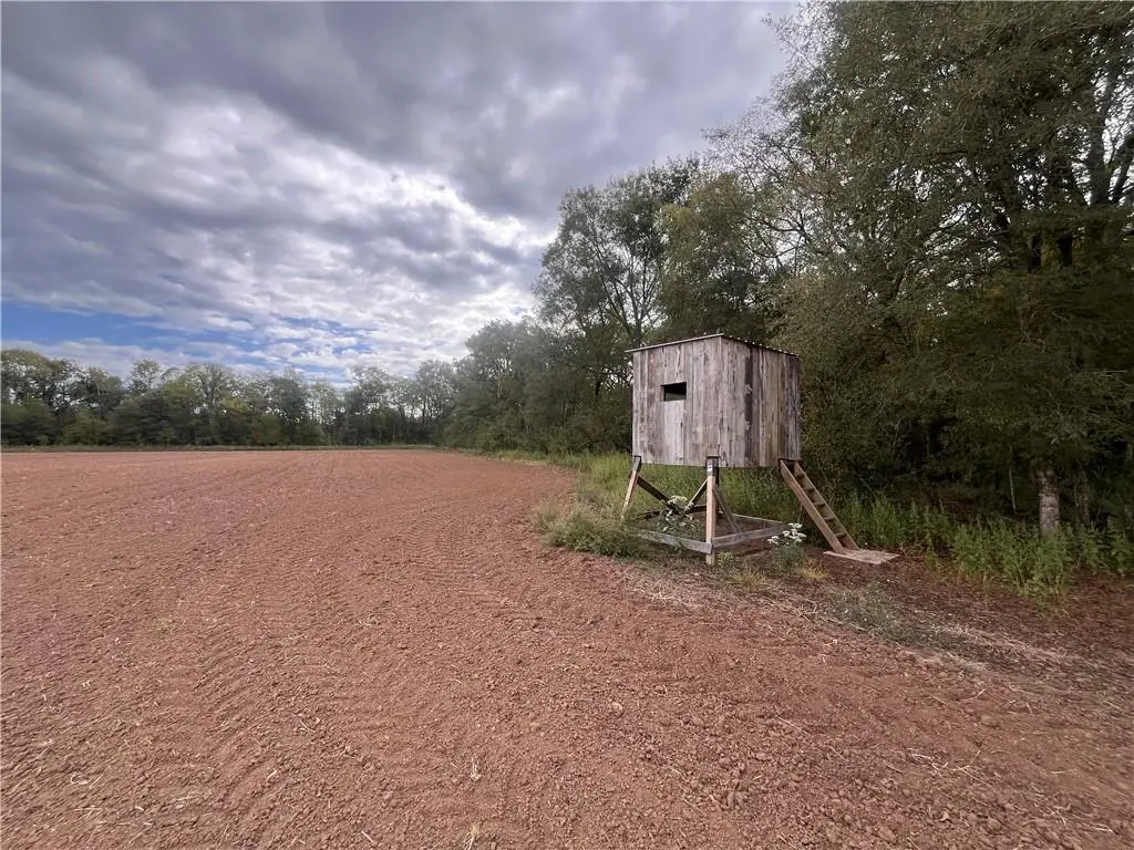 Levi Gremillion Road, Plaucheville, LA 71362 - #1