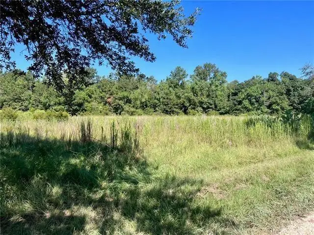 Parcel E Peters Road, Madisonville, LA 70447 - #2