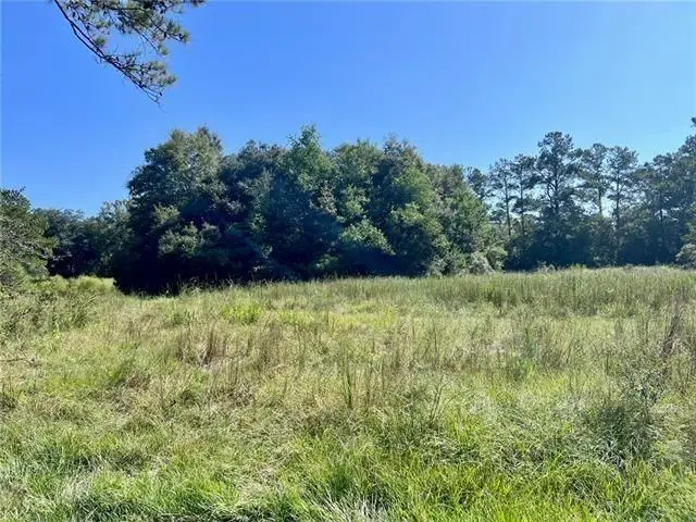 Parcel E Peters Road, Madisonville, LA 70447 - #3