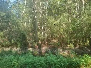 Address Withheld By Seller, Slidell, LA 70461