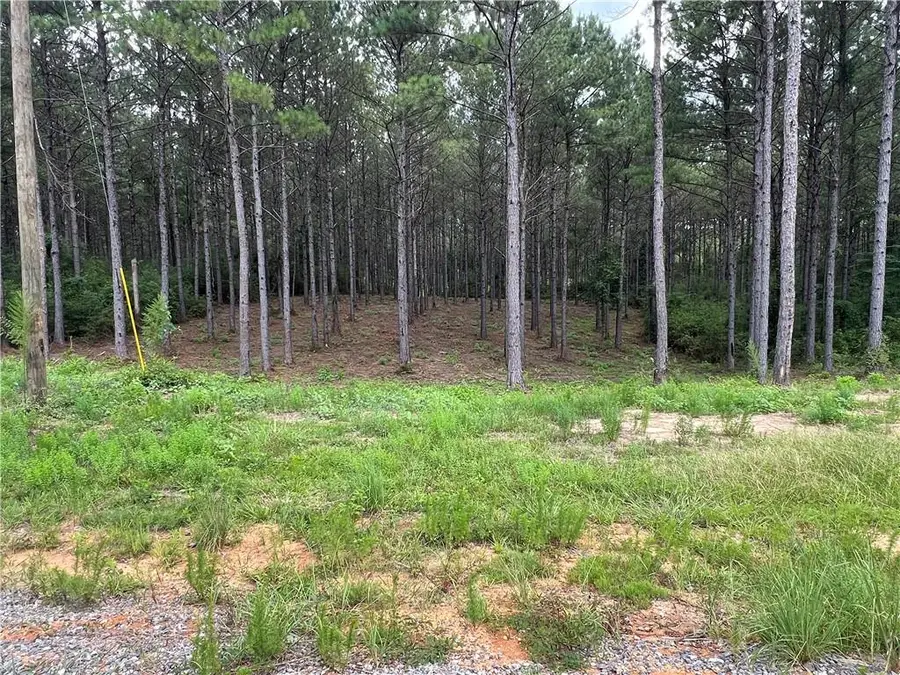 Lot 33 Lauren Lane, Franklinton, LA 70438 - #2