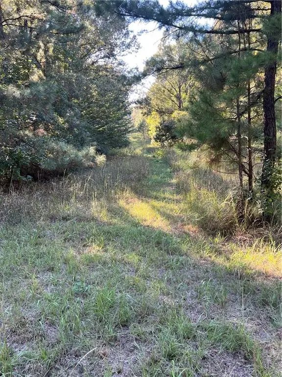 75-85 Williford Road, Ball, LA 71405 - #1