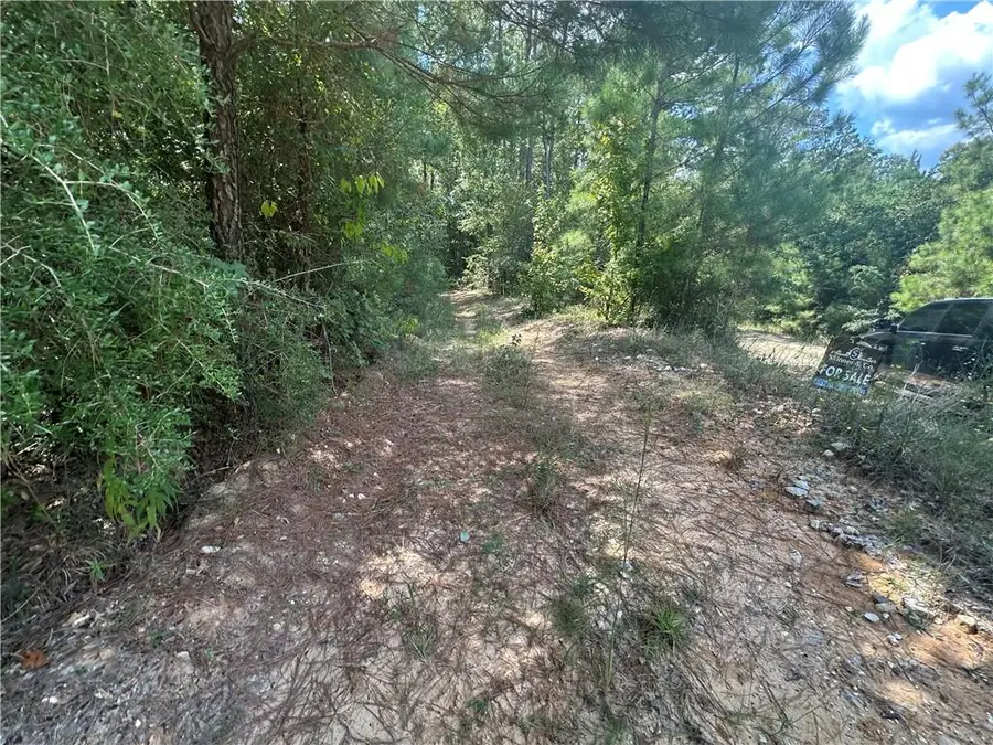 TBD Tom Moore Road, Leesville, LA 71446 - #3