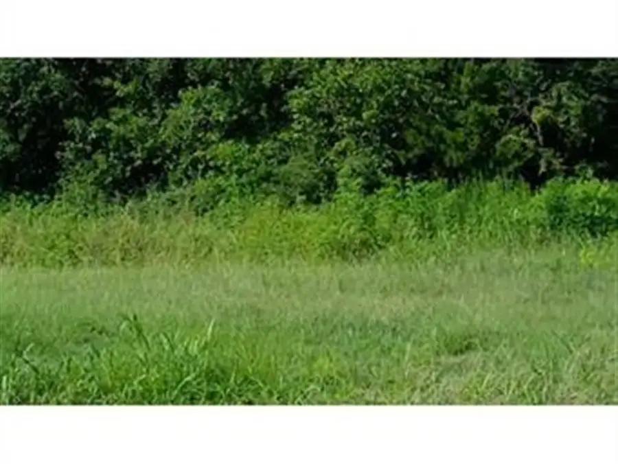 Big Pasture Road, Grand Lake, LA 70607 - Image #2