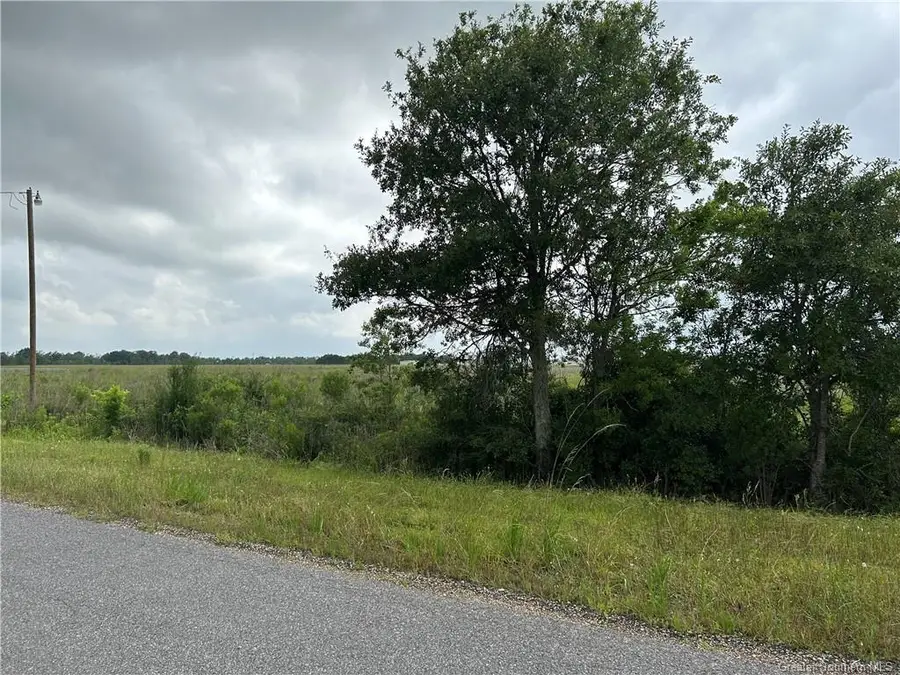 Main (l-1) Street, Lacassine, LA 70650 - #3