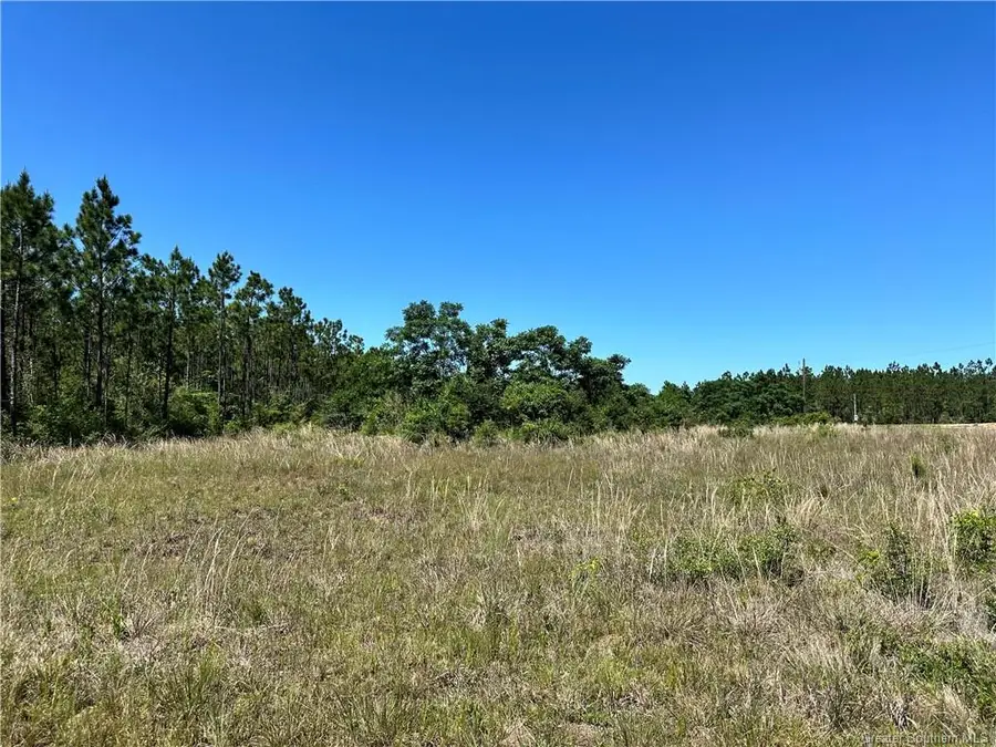 0 Panhandle Road, Dequincy, LA 70633 - Image #3