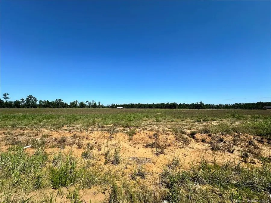 0 Calla Lily Drive, Ragley, LA 70657 - Image #2