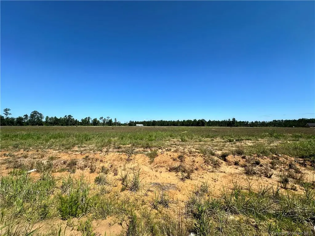 0 Daffodil Drive, Ragley, LA 70657 - Image #1