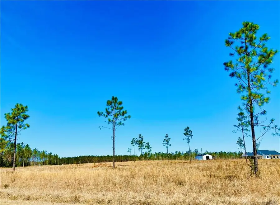 0 Camp Edgewood Road, Dequincy, LA 70633 - Image #3