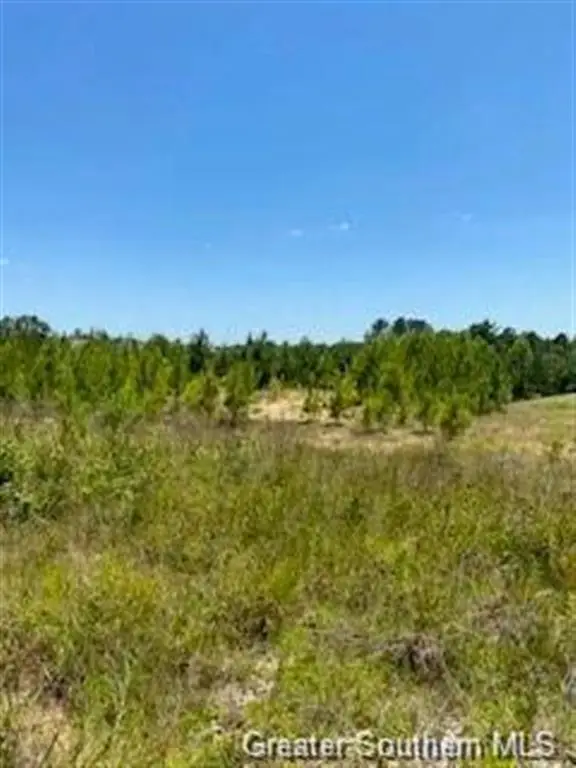 0 Stanley Road, Leesville, LA 71446