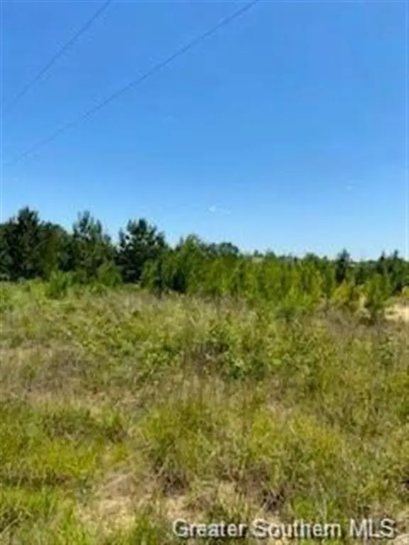 0 Stanley Road, Leesville, LA 71446 - #3