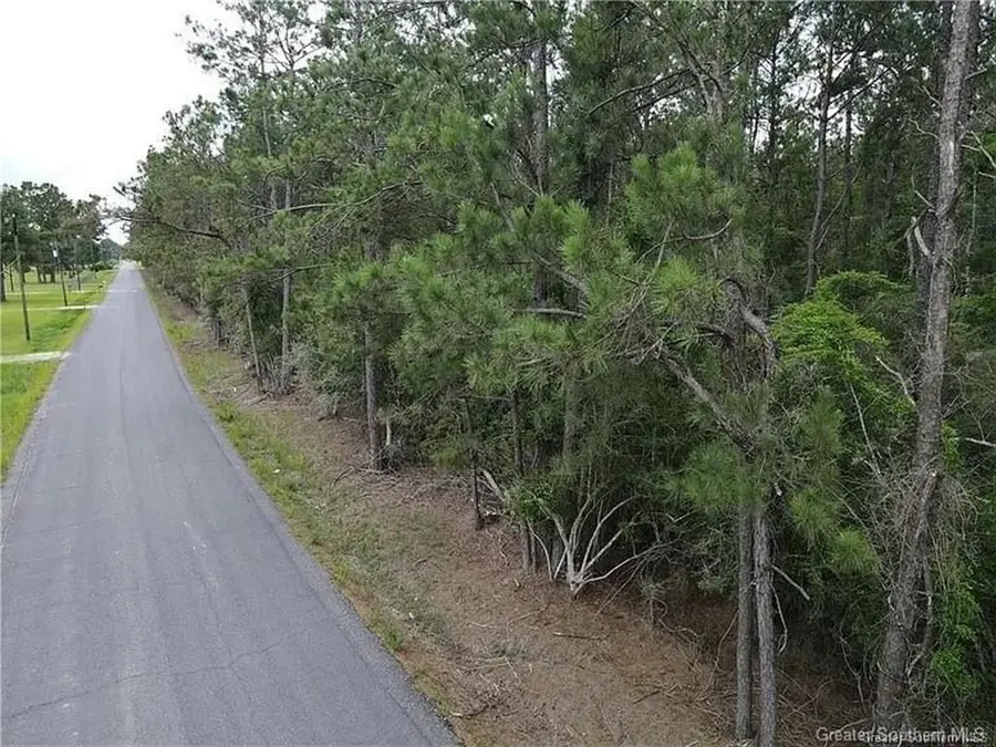 LOT 2 Sandy Lane, Dequincy, LA 70633 - #3