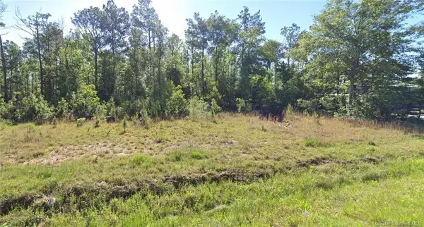 0 Newt Hodges Road #Lot 10, Ragley, LA 70657