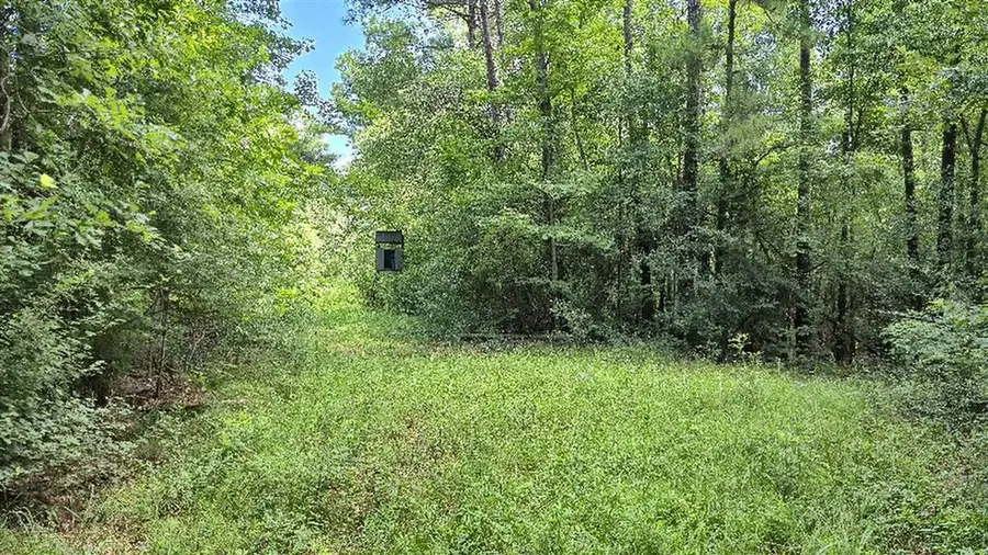 340 Adrian Guidry Rd Road, Longville, LA 70652 - #2