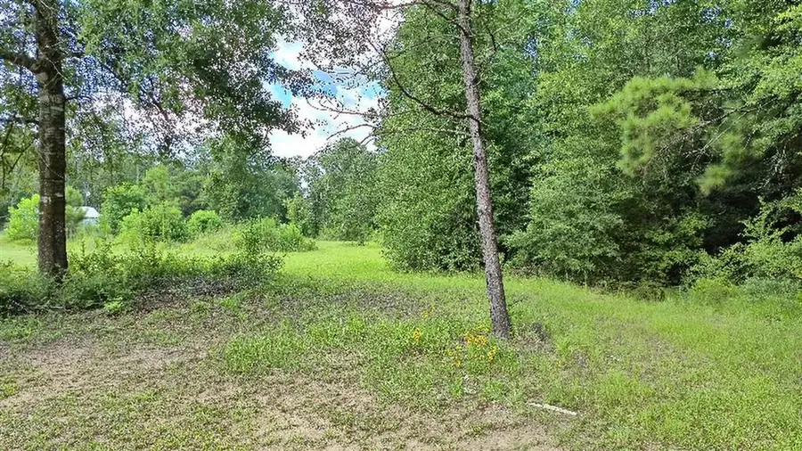 340 Adrian Guidry Rd Road, Longville, LA 70652 - #3
