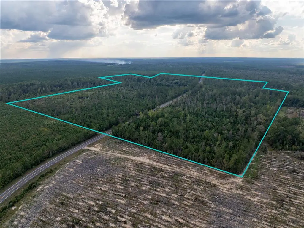 Hwy 109, Singer, LA 70660 - #1