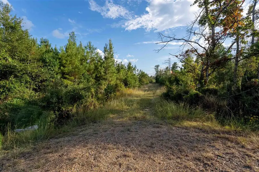 Hwy 109, Singer, LA 70660 - #3