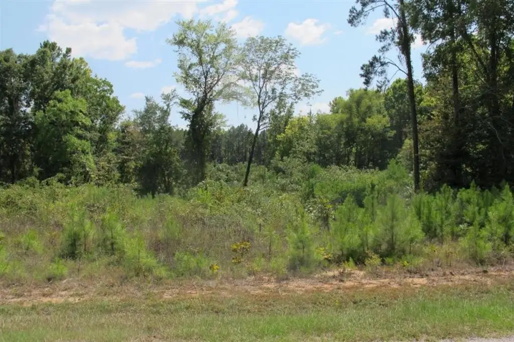 TBD Section Line Road, Leesville, LA 71446 - Image #1