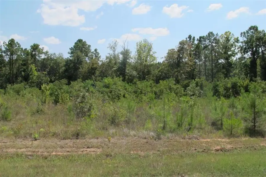 TBD Section Line Road, Leesville, LA 71446 - Image #2
