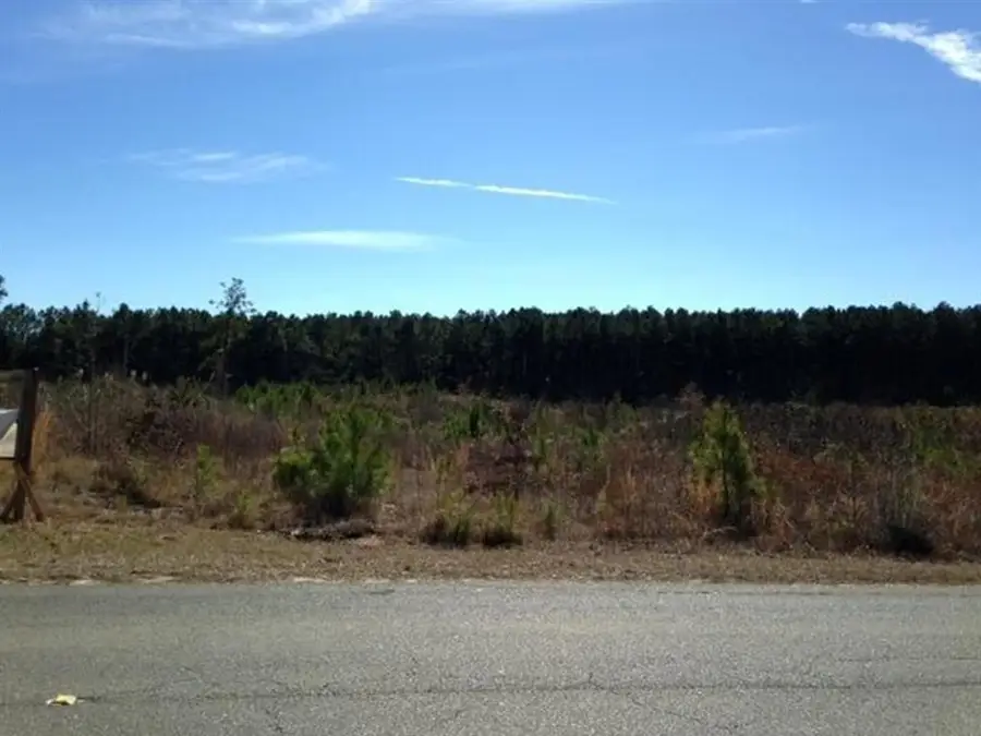 TBD Section Line Road, Leesville, LA 71446 - Image #3