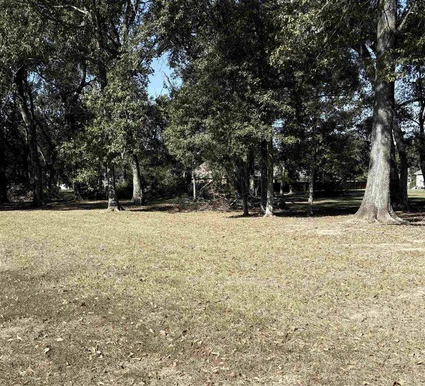 TBD River Oaks Drive, Jennings, LA 70546 - Image #2