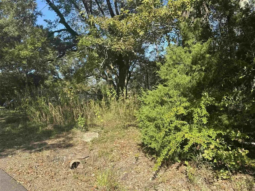 TBD Ulysses Street, Eunice, LA 70535 - Image #1