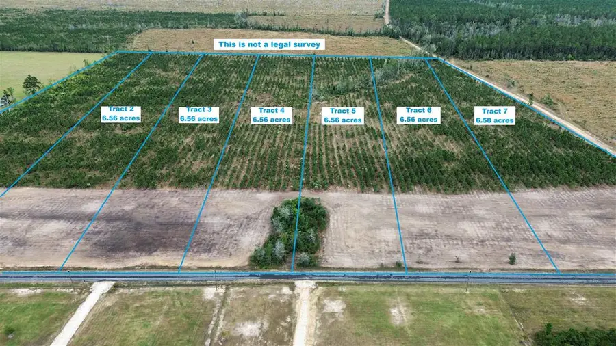 Tbd Elengton Rd, Tract #4, Deridder, LA 70634 - Image #2