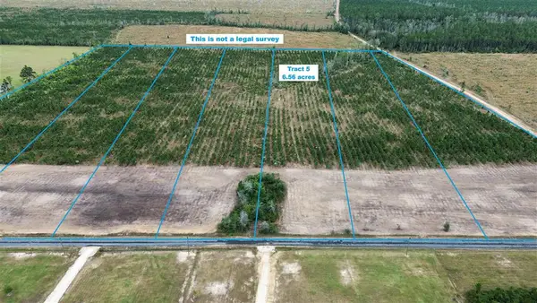 Tbd Elengton Rd, Tract #5, DeRidder, LA 70634