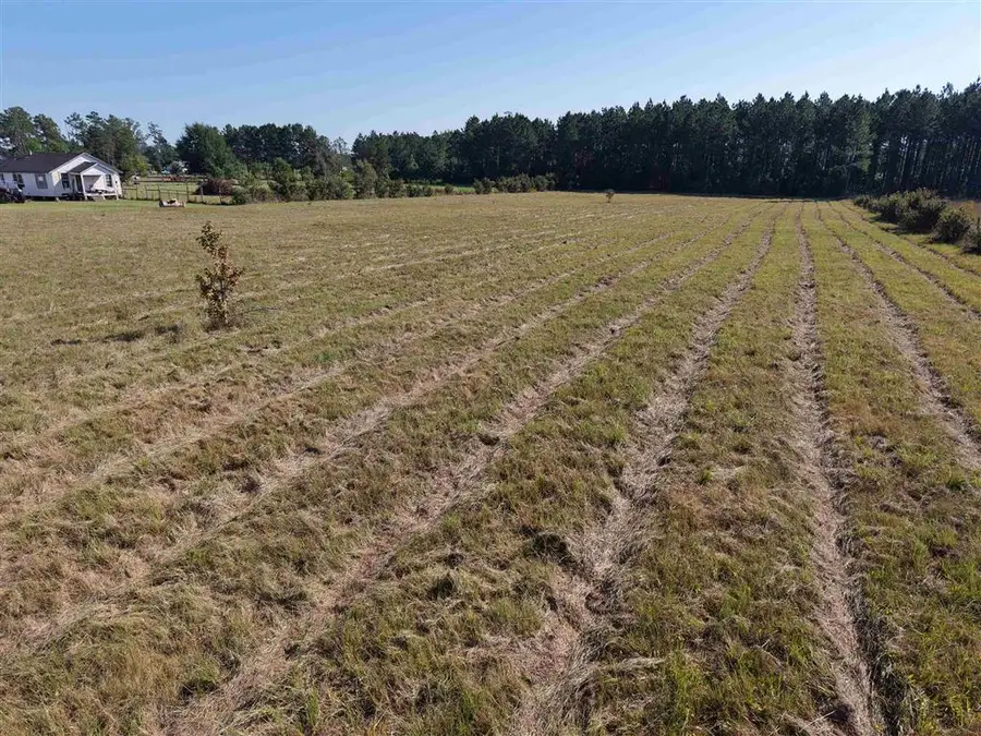 465 Lucius Marcantel Road, Dequincy, LA 70633 - Image #2