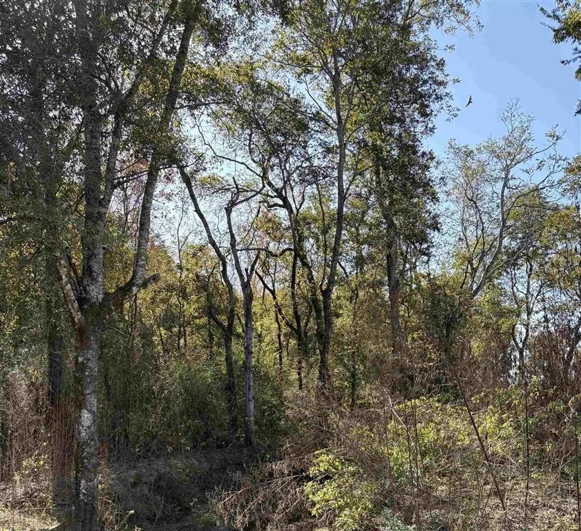 TBD Bucklin Road, Jennings, LA 70546 - Image #2