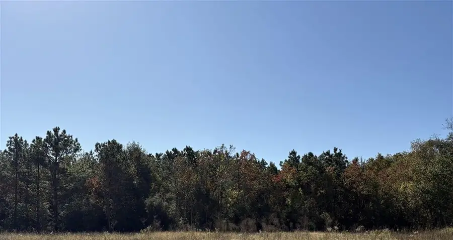 TBD Bucklin Road, Jennings, LA 70546 - Image #3