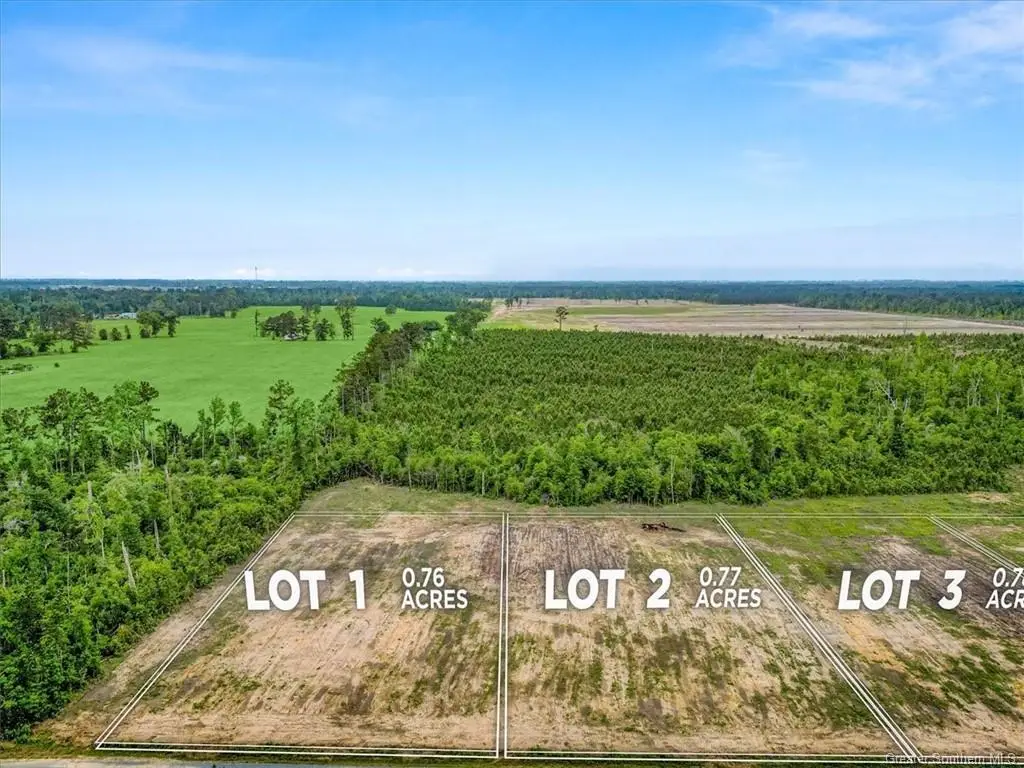 1 Pullin Road, Ragley, LA  - #1