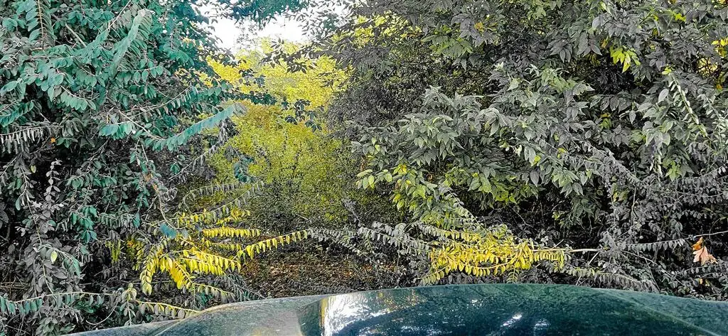 2007 Delta Downs Drive, Vinton, LA 70668 - Image #1