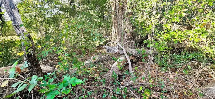 2007 Delta Downs Drive, Vinton, LA 70668 - Image #3