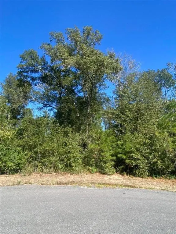 E Robinwood Drive, Moss Bluff, LA 70611 - #1