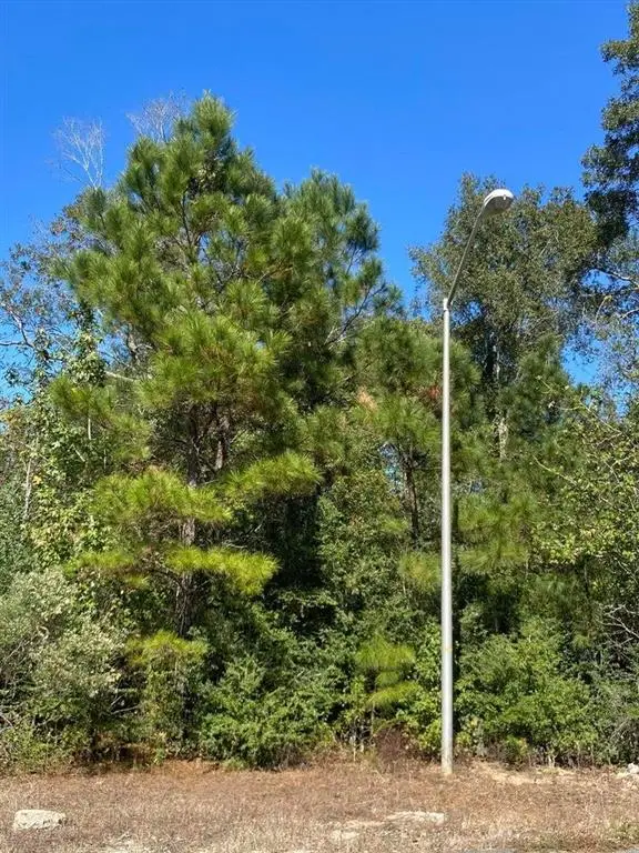 E Robinwood Drive, Moss Bluff, LA 70611 - #2