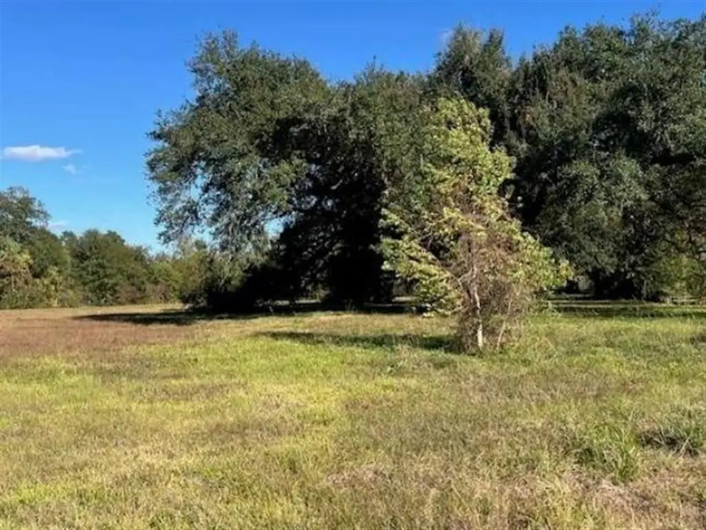 Perry Street, Sulphur, LA  - #1