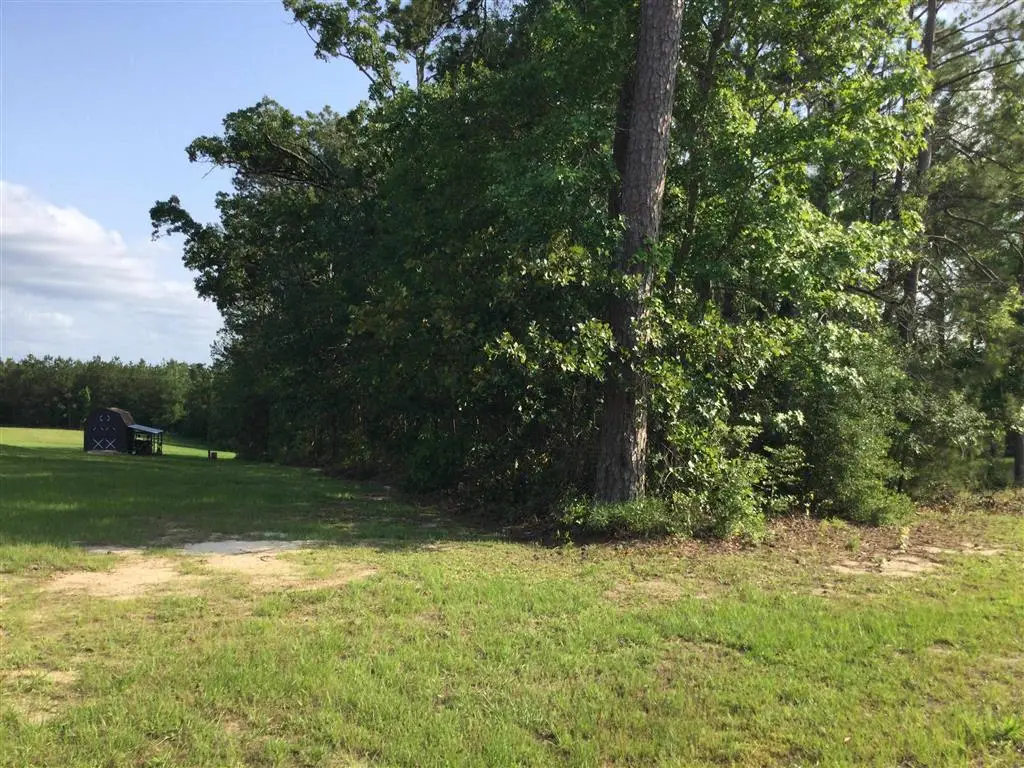 0 Stanley Road, Leesville, LA 71446 - Image #1