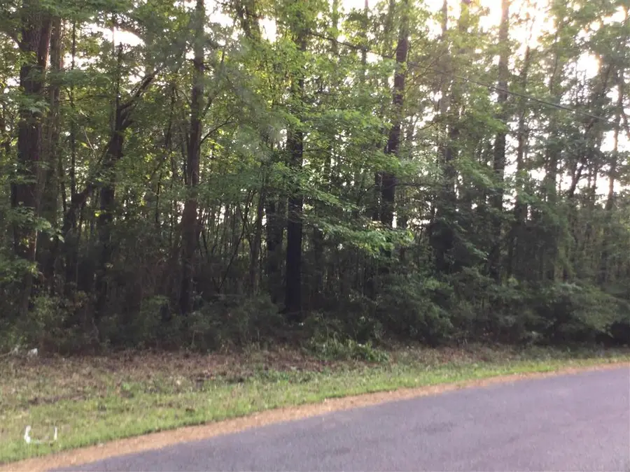 0 Stanley Road, Leesville, LA 71446 - Image #3