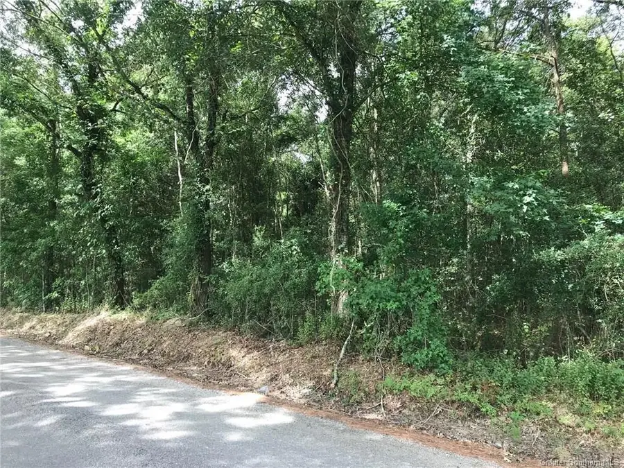0 Martin Road, Kinder, LA 70648 - #2