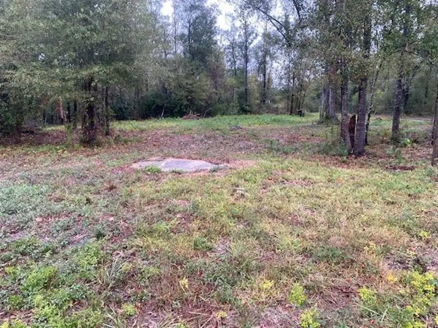 3058 Smith Ferry Road, Westlake, LA 70669 - Image #3