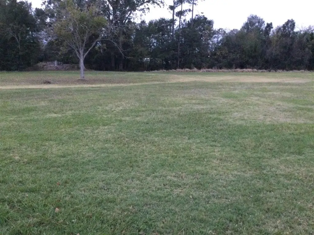 Trina Lane, Sulphur, LA 70663 - #1