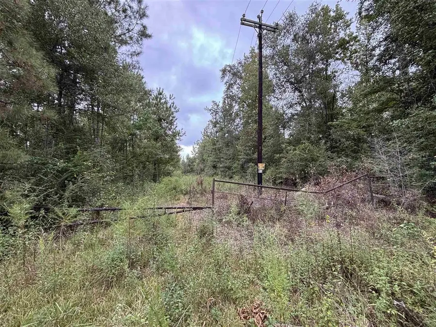 0 Kernan Road, Ragley, LA  - Image #2