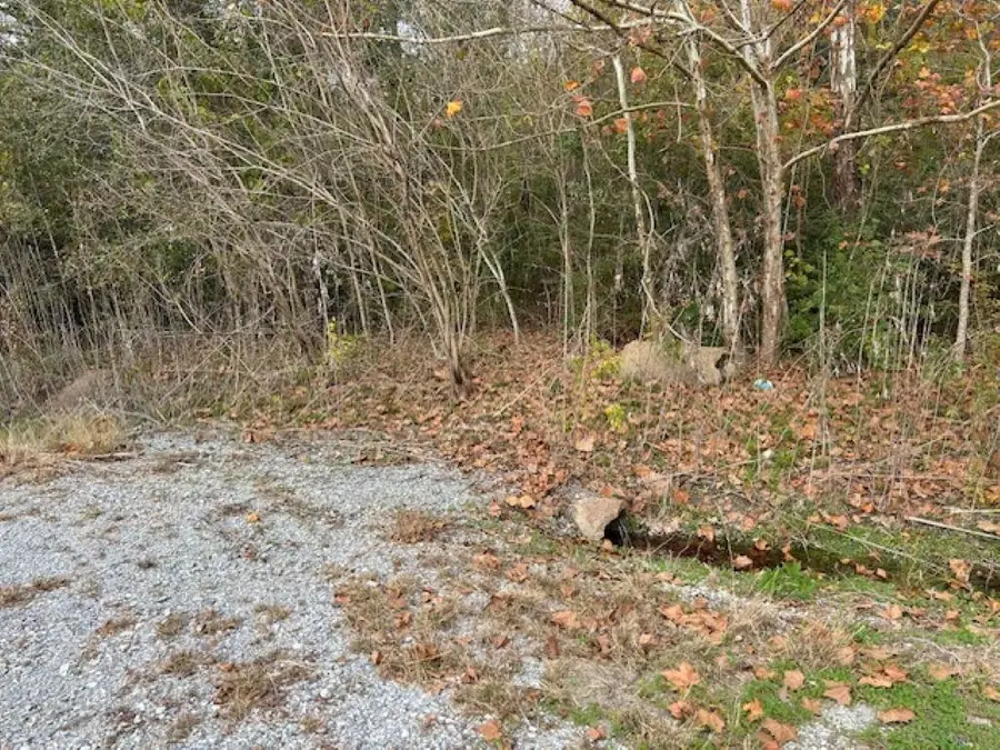 7828 Mississippi Avenue, Hayes, LA 70646 - Image #2