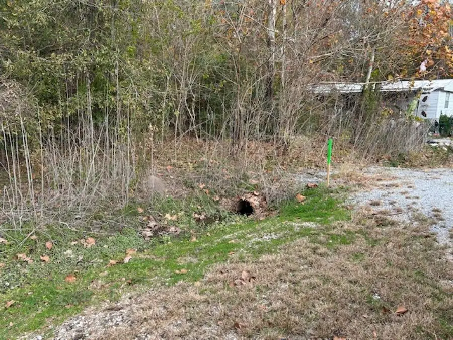 7828 Mississippi Avenue, Hayes, LA 70646 - Image #3