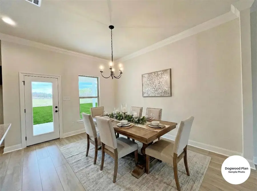 306 White Castle South, Iowa, LA 70647 - #3