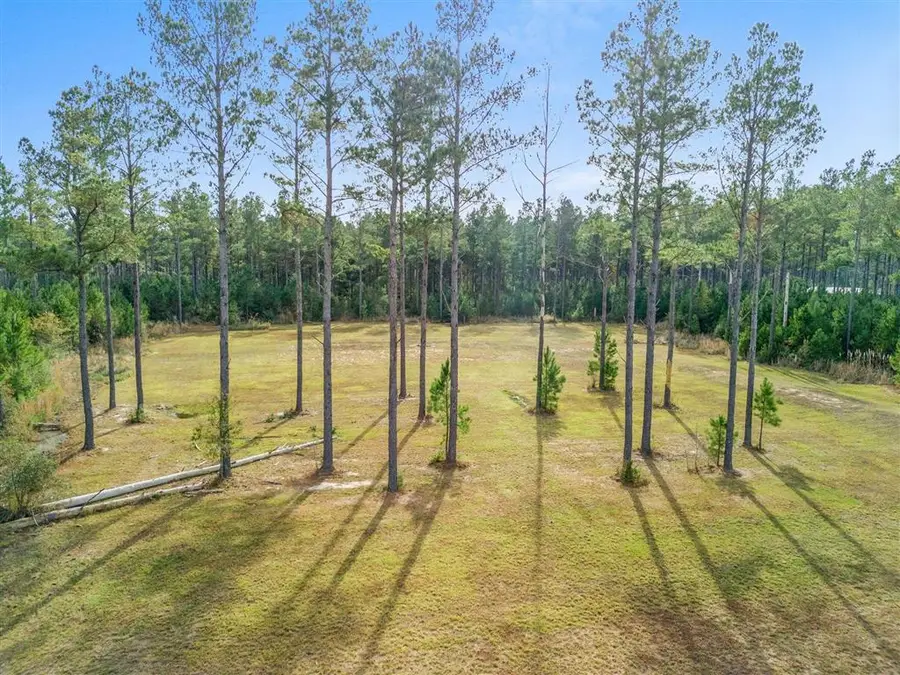 0 Abie Fontenot Road, Iowa, LA 70647 - Image #3